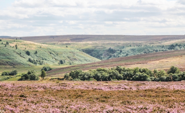 Bodmin Moor & Tintagel